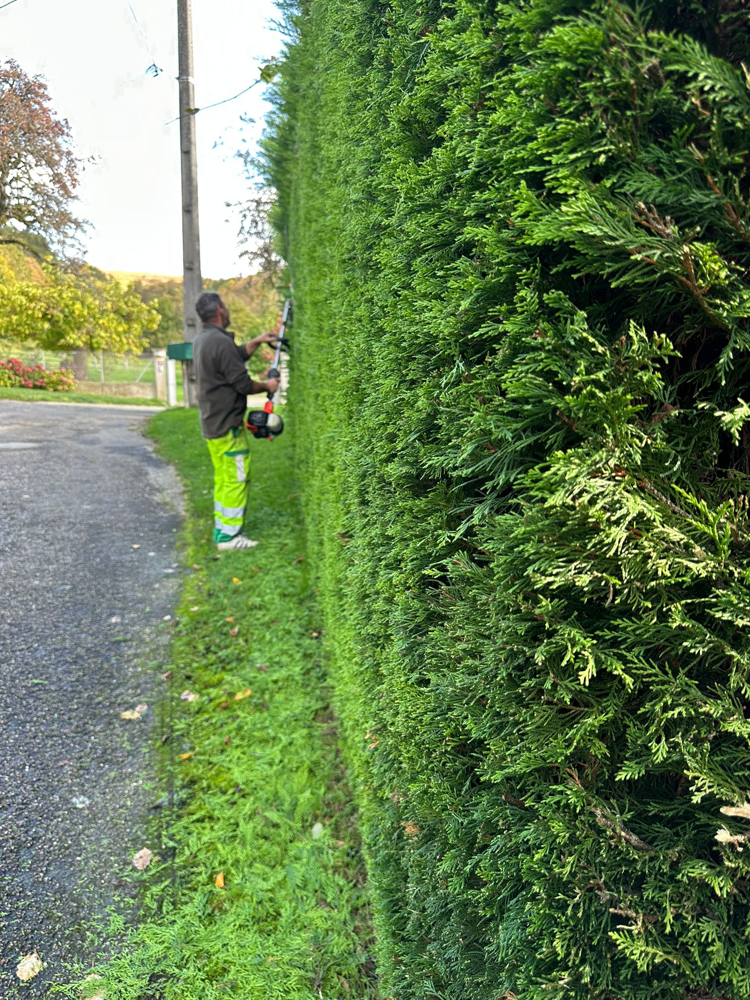 IMG-20241024-WA0005